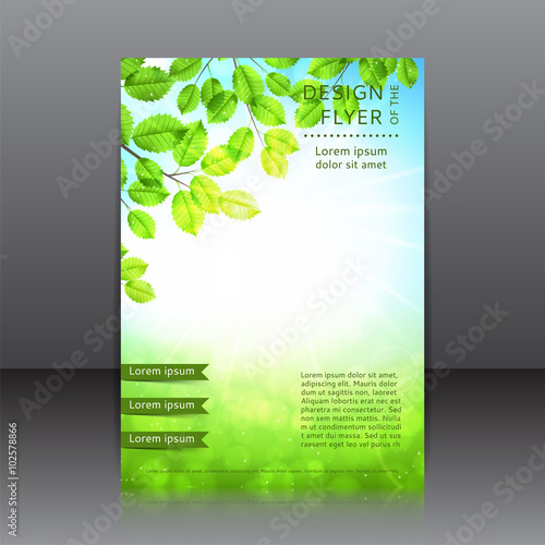 Vector design of the flyer with leaves and sun. Vector spring day background with sunshine.Poster template for your business in A4 size.