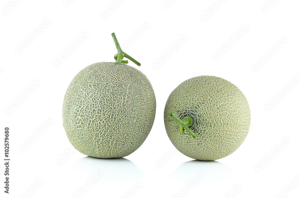 cantaloupe melon isolated on the white background cantaloupe melon isolated on the white background