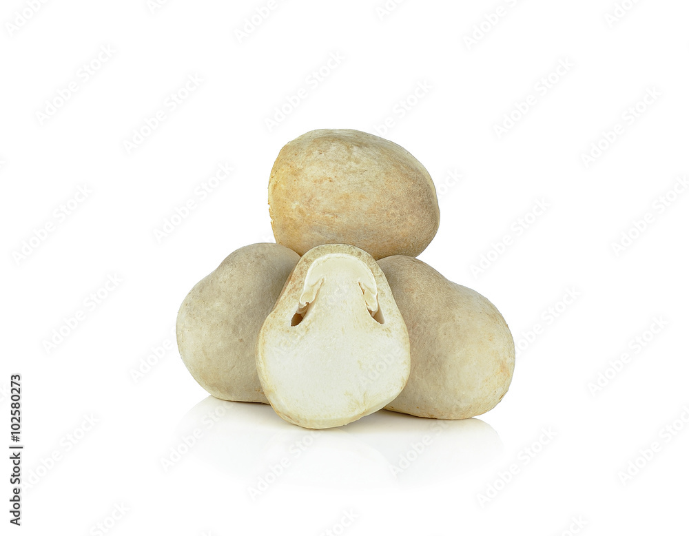 Fotografie Straw mushrooms in isolated white background