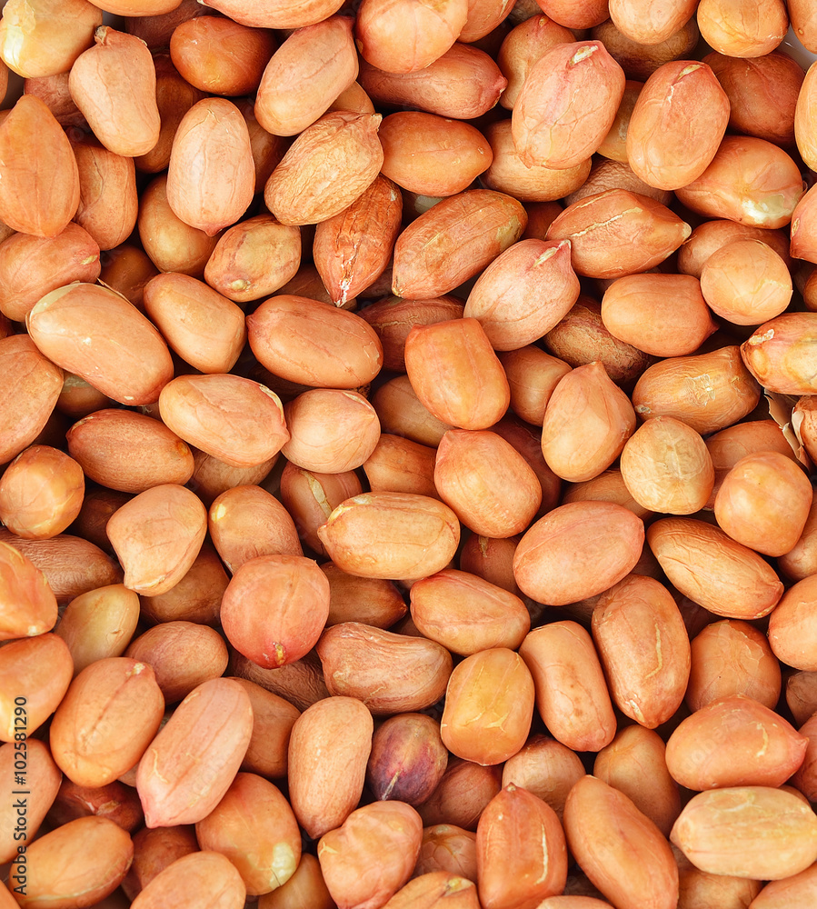 Close up view of peanut or groundnut Close up view of peanut or groundnut