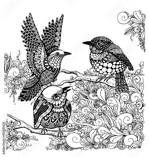 the flowers with the bird flying  hand drawn outline of boho style isolated on the white background