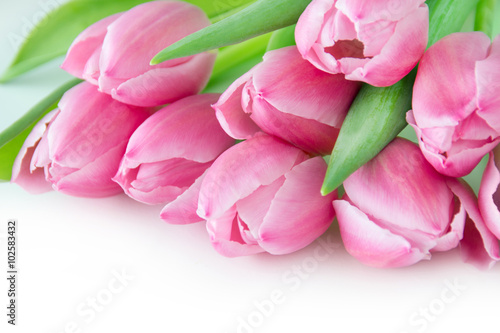 Fototapeta Naklejka Na Ścianę i Meble -  Tulpen