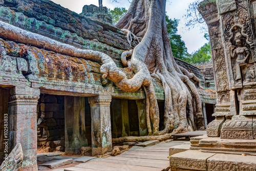 Wallpaper Mural Angkor Wat Cambodia. Ta Prohm Khmer ancient Buddhist temple.