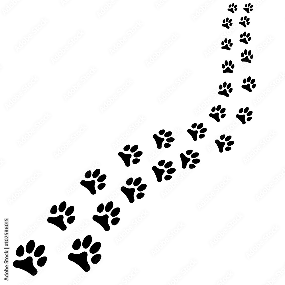 Path of animals black footprints, dog or cat path turns right on white background