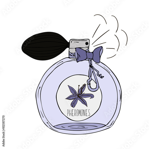 Hand Drawn  illustration of a perfume bottle with the scent of pheromones