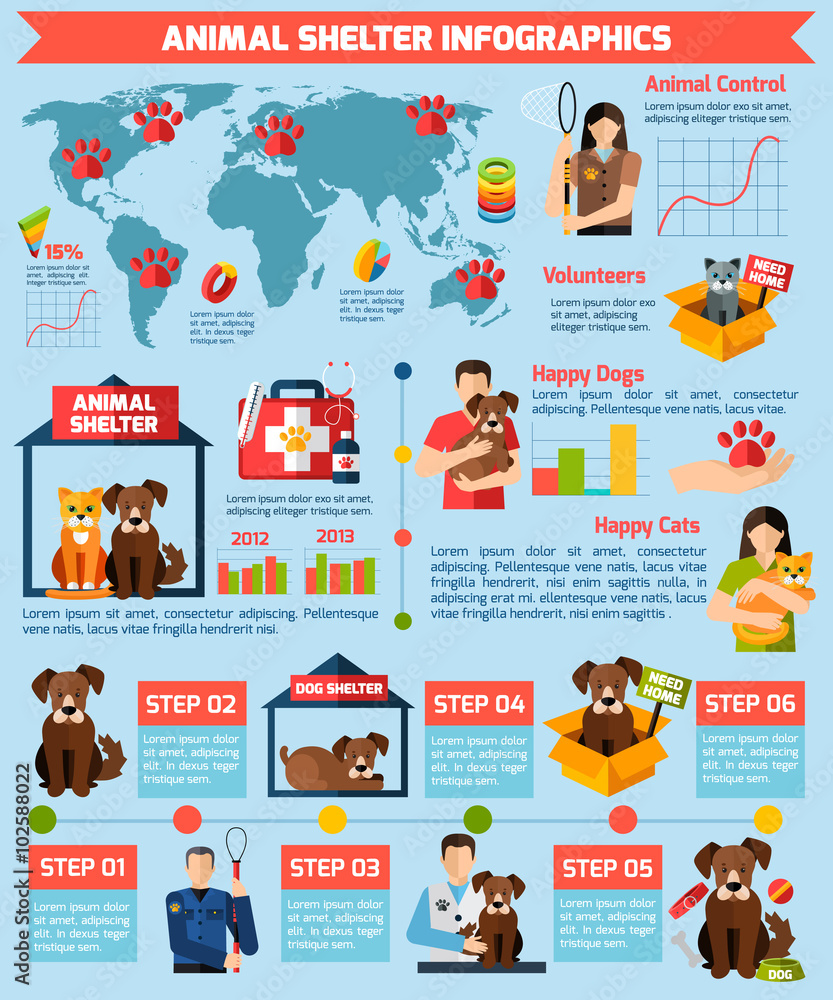 Animal shelter infographics
