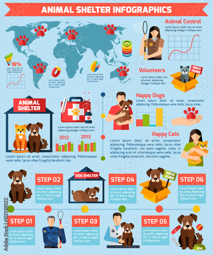 Animal shelter infographics