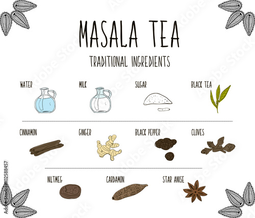 Hand-sketched collection of elements of Ayurvedic spices are part of the ancient drink masala tea. Herbs and supplements Ayurveda. Vector