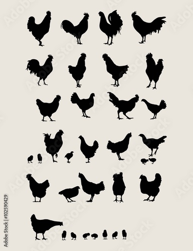 Roosters and Chicken Silhouettes Set 