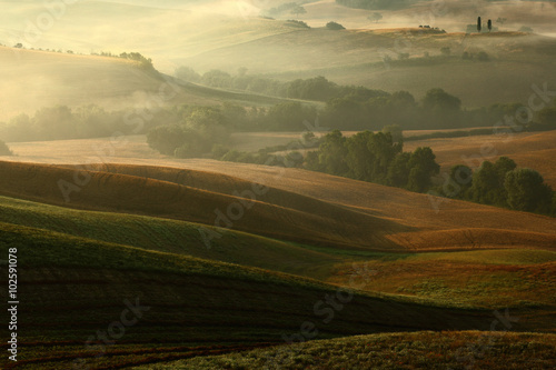 Idyllic view of hilly farmland in Tuscany in beautiful morning light, Italy © ondrejprosicky
