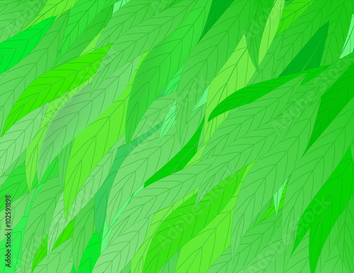 background-leaves