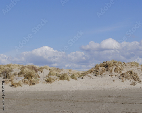 Zonnige Hollandse duinen photo