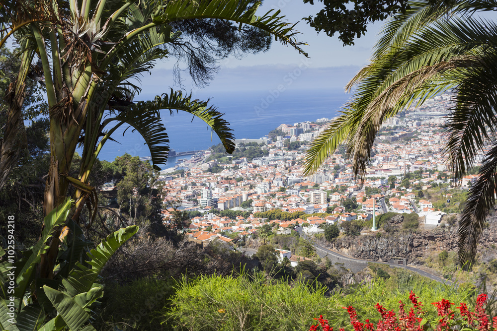 Fototapeta premium Aerial view of Funchal, capital city of Madeira Island, Portugal