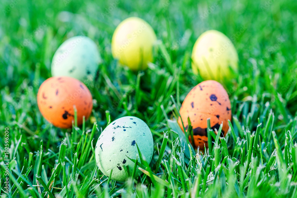 multicolored easter eggs on green grass