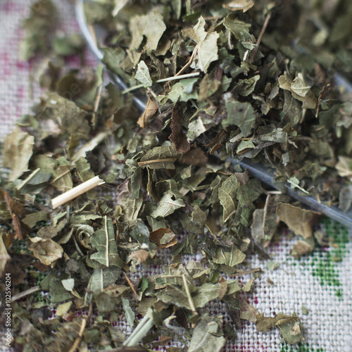 dried blackberry leaves
