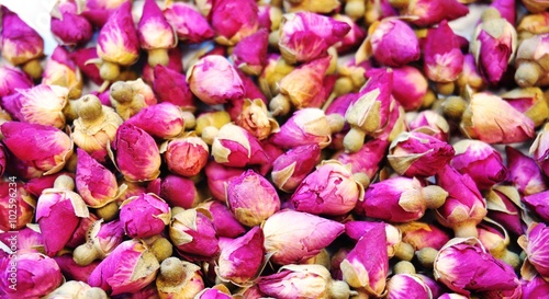 Dried pink rose buds background