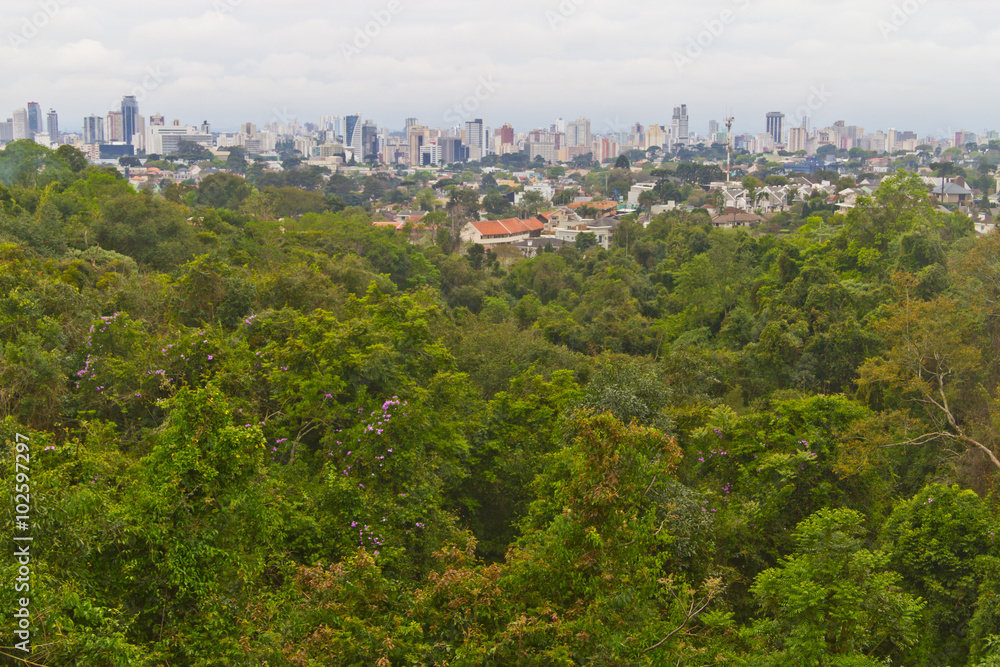 Fototapeta premium Forest and Cityscape of Curitiba