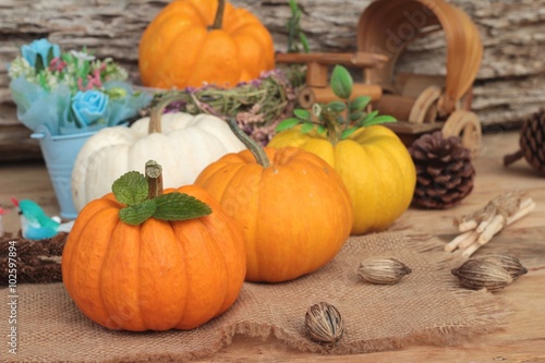 Pumpkin fancy on wood background.