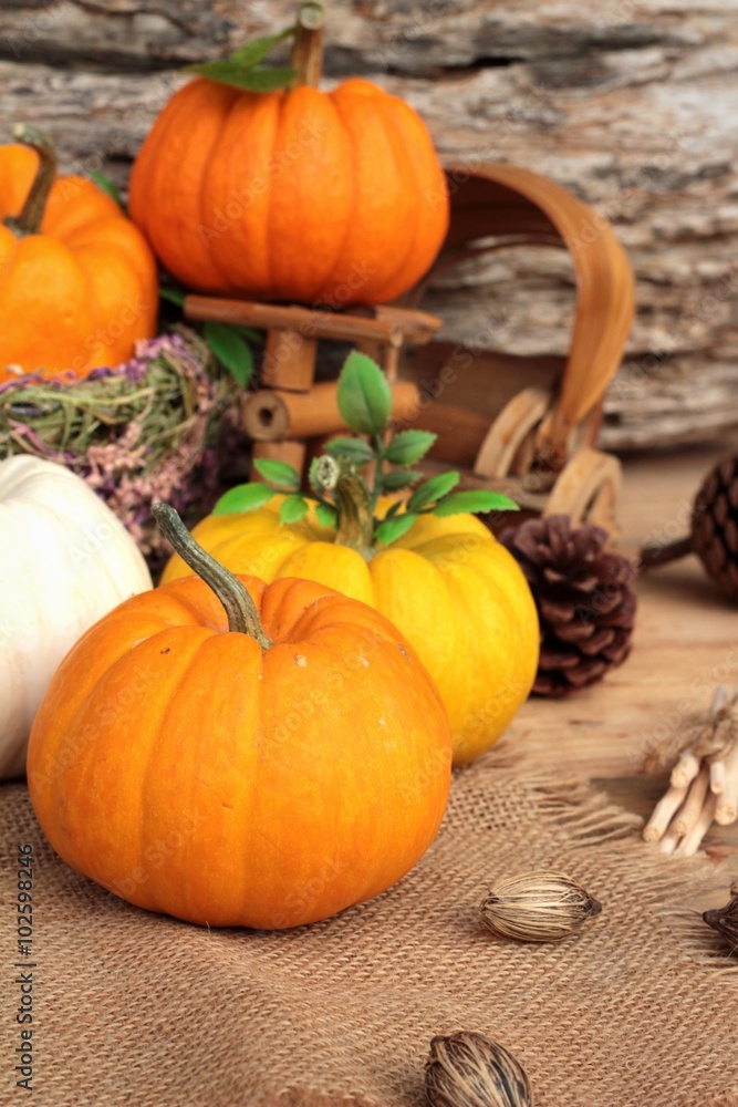Pumpkin fancy on wood background. Pumpkin fancy on wood background.