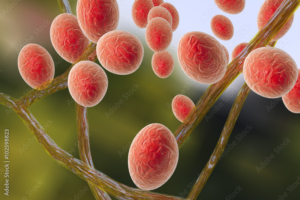 ภาพประกอบสต็อก Microscopic illustration of fungi Trichophyton which cause tinea, athlete's foot