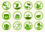 12 Basic icon organic.Stickers organic collection.Features of good organic farm.The symbol of organic farming.Approach to communication for organic product.Graphic design and vector EPS 10.