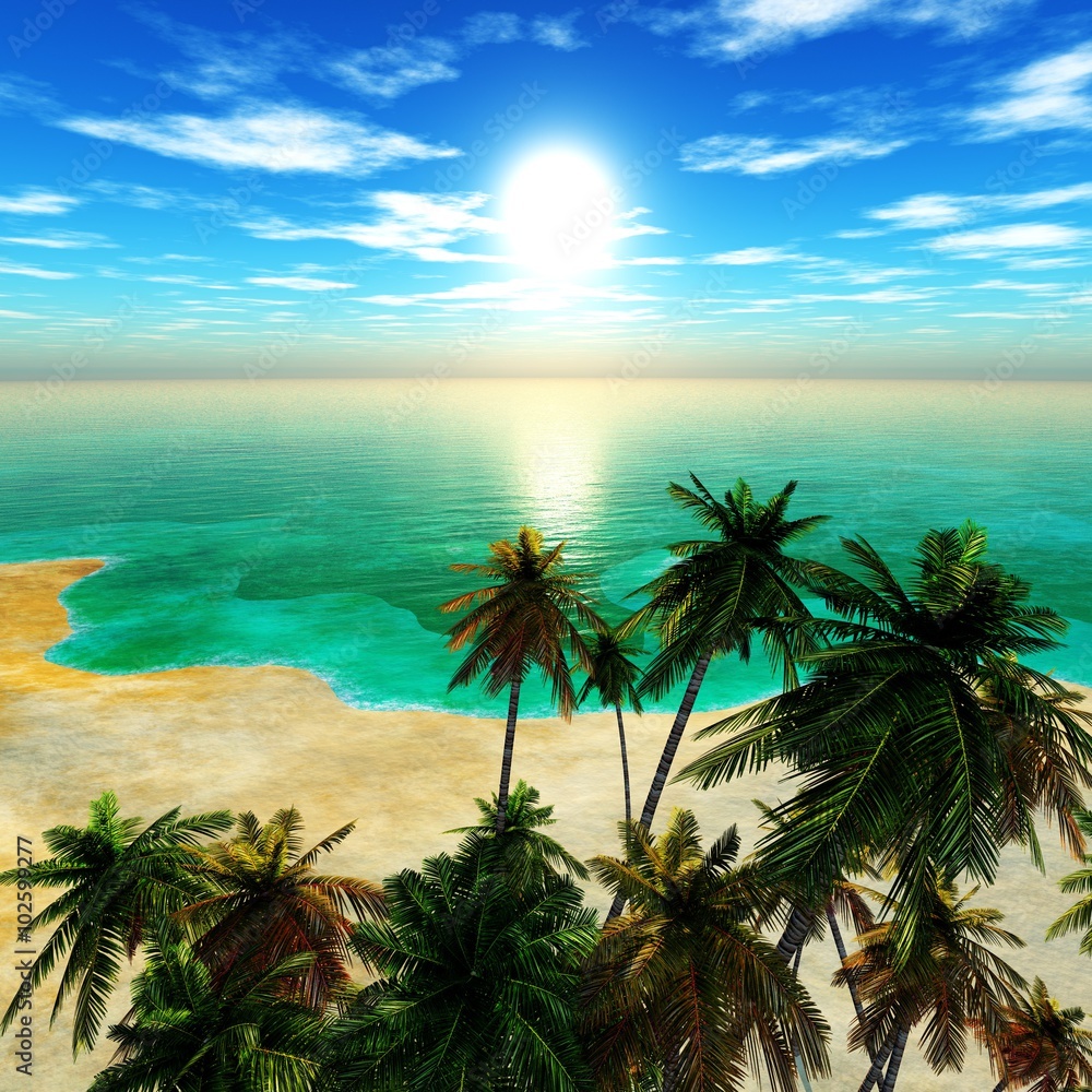 tropical beach with coconut palms on the beach, tropical island