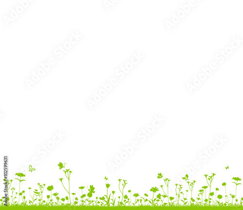 Blumenwiese
