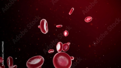 Blood Cells