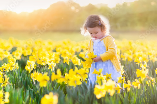 Vászonkép Little girl in daffodil field