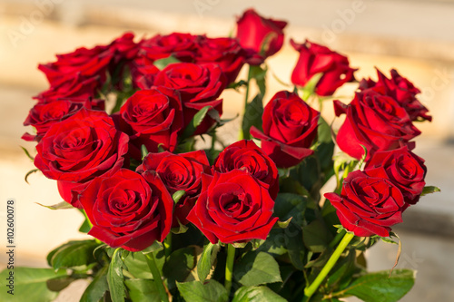 bouquet of blossoming dark red roses