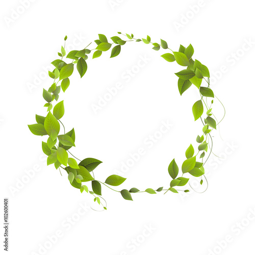  Round banner of branches with leaves. Green leaves in a circle.