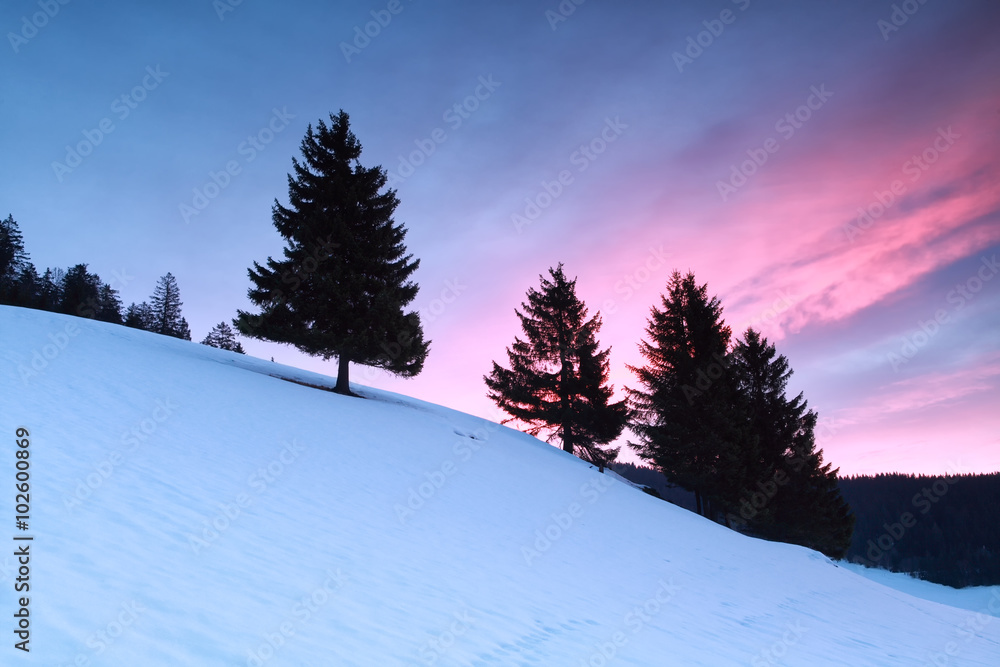 Obraz premium purple sunrise in winter mountains