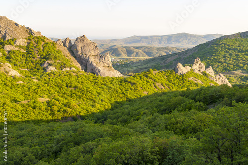Beautiful mountains with green juniper seen at sunset near New World  Novyi Svit in Ukrainian   Crimea  Ukraine