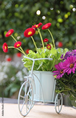 Fröhliche Dekoration mit frischen Blumen im Garten