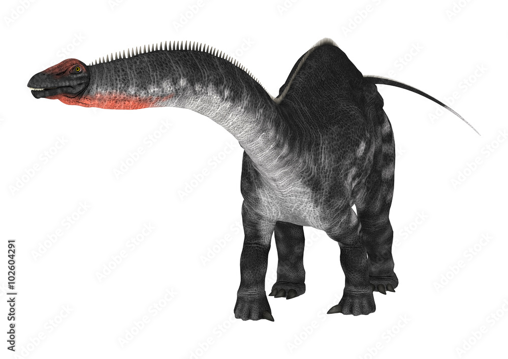 Obraz premium Dinosaur Apatosaurus on White