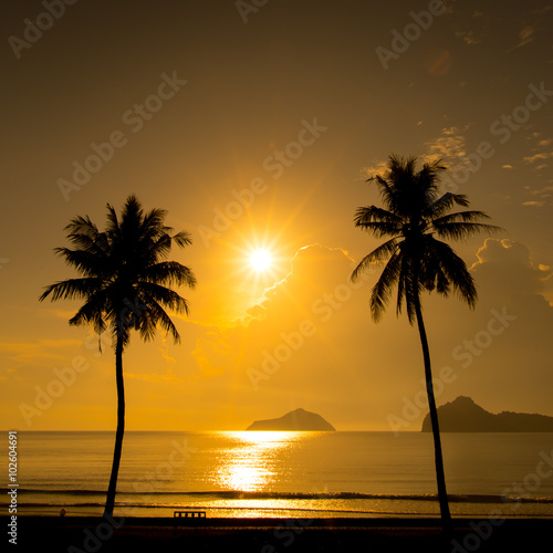 Two palm trees silhouette on sunset tropical beach