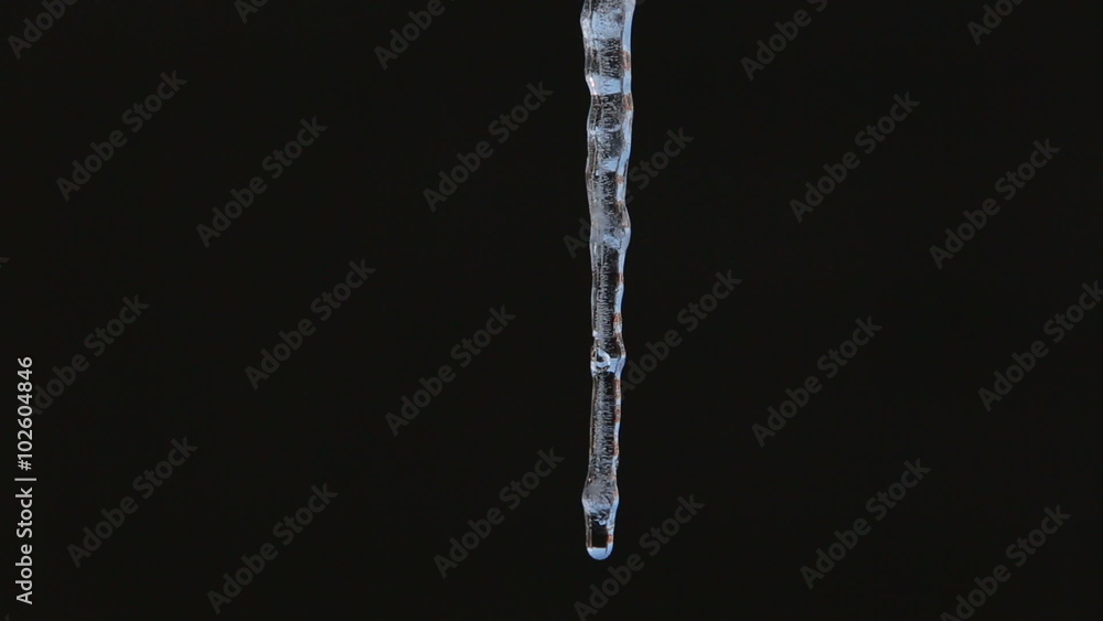 Close up of single clear thick icicle hanging down over isolated black background