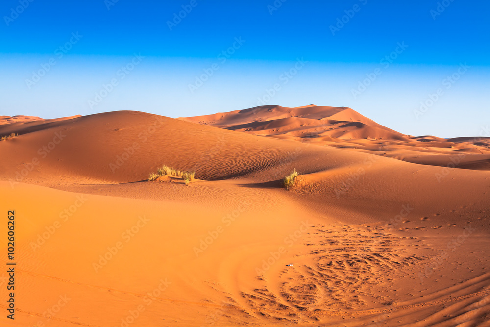 Sand Dunes of Erg Chebbi int he Sahara Desert, Morocco