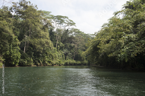 Green Canyon  r  o en un ca    n con mucha vegetaci  n  rocas y grutas. Pandangaran  Java  Indonesia.