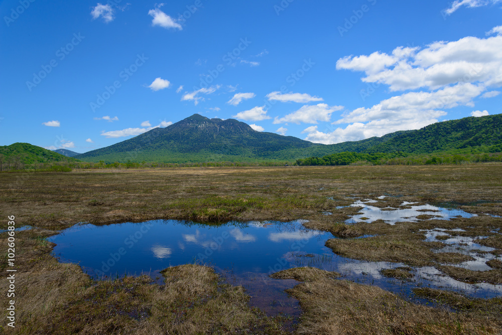 Ozegahara and Mt. Hiuchigatake in early summer in Gunma, Japan Ozegahara and Mt. Hiuchigatake in early summer in Gunma, Japan