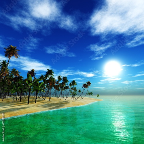 tropical beach with coconut palms on the beach  tropical island