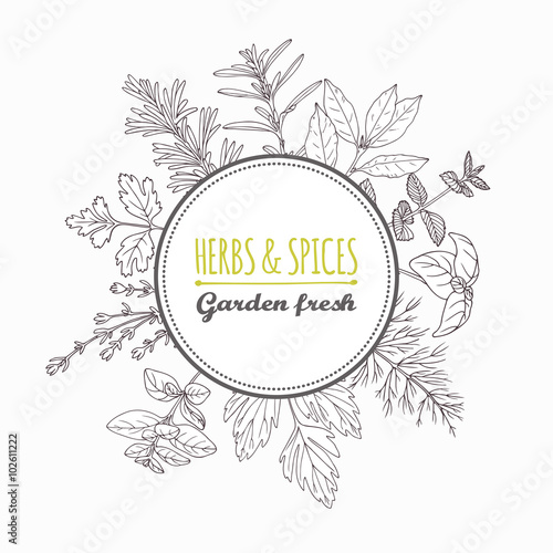 Circle label with hand drawn herbs and spices. Outline style seasonings