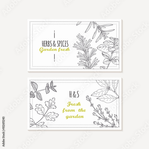 Business card templates set with hand drawn spicy herbs