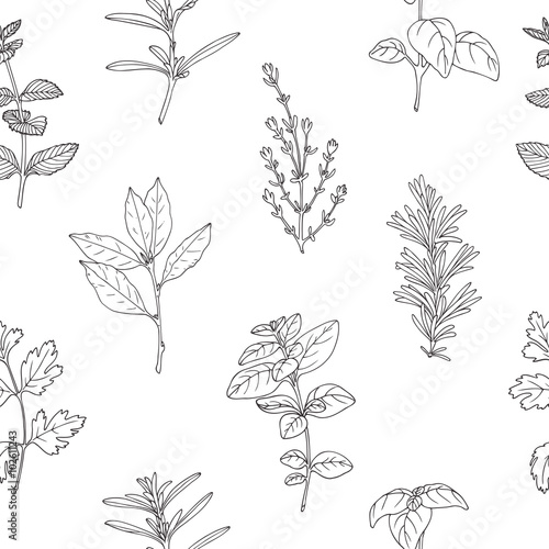 Seamless pattern with hand drawn spicy herbs. Monochrome kitchen background