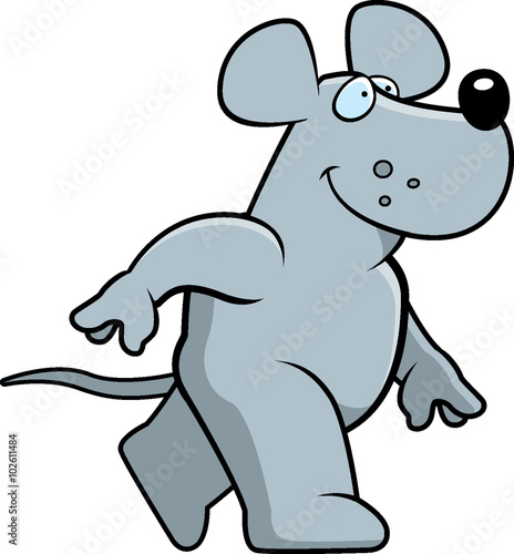 Rat Walking