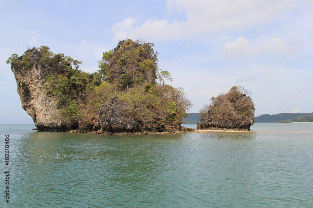 Obraz premium Sea nature, year 2015