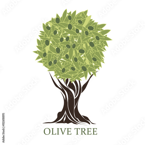 logo in the form of a stylized olive tree with olives
