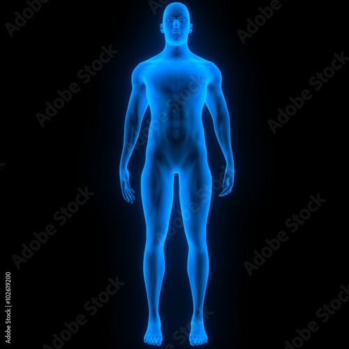 Fotografie Human Male Muscle Body