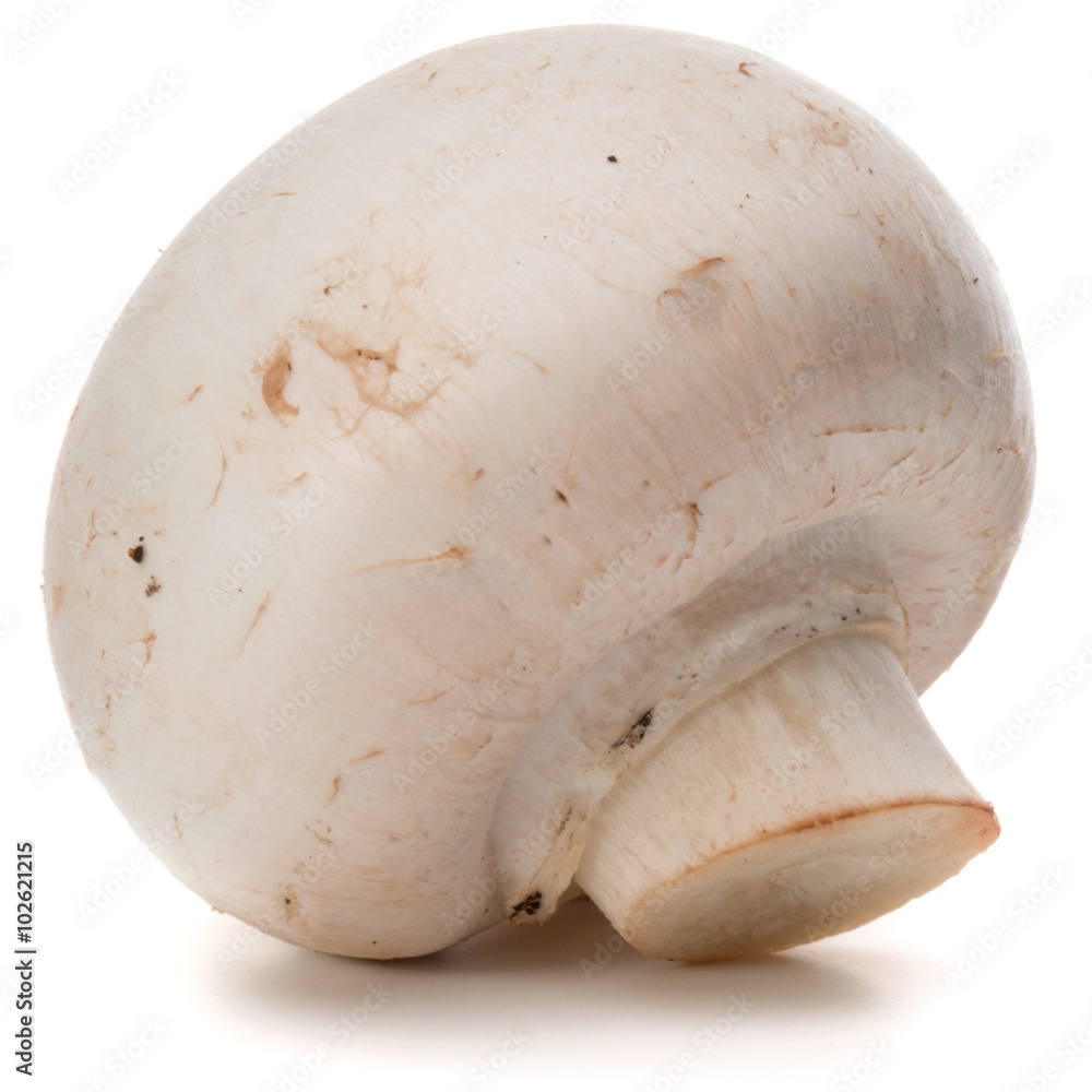 Champignon isolated on white background cutout Champignon isolated on white background cutout
