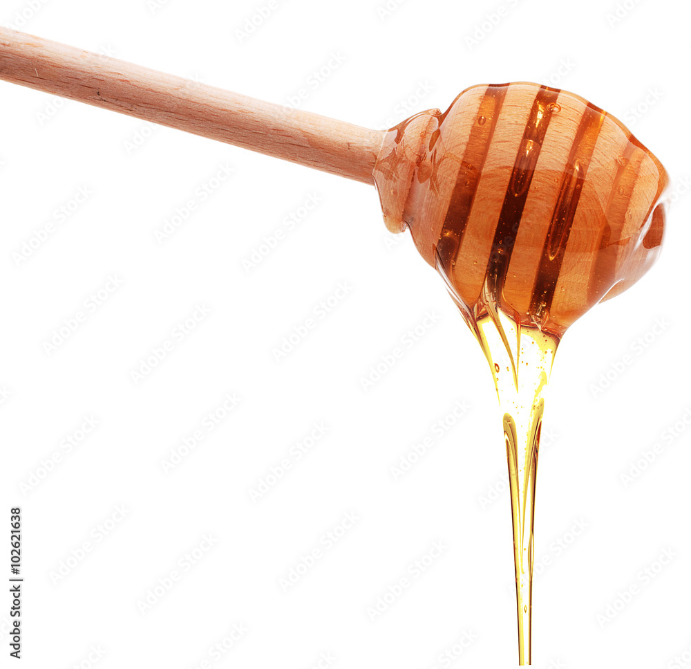 Honey dripping from a wooden honey dipper isolated on white back Honey dripping from a wooden honey dipper isolated on white back